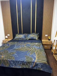 Apartament 1 central cu parcare privata - Craiova - 9