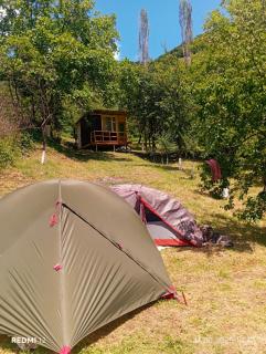 Camping Three poplars by VL - Alaverdi - 3