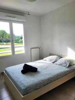 T2 - Cosy, Piscine, vue sur le golf - Juvignac - 3