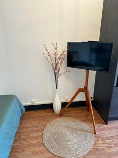 Studio cosy - Le cerisier - Valence - 8