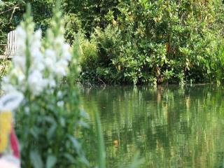 Markelo Lodge Near Trails - 2