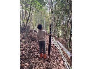 Farm Stay Yululu - Vacation STAY 30762v - Sumoto - 9