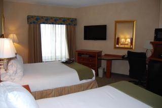 Holiday Inn Express Hotel & Suites Auburn Hills by IHG - Auburn Hills - 8