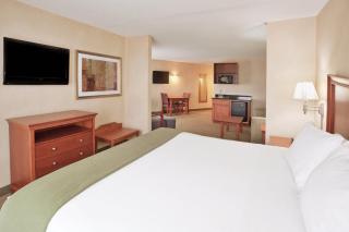 Holiday Inn Express Hotel & Suites Auburn Hills by IHG - Auburn Hills - 2