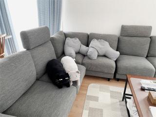 The Ritz Okinawa Kise II - Vacation STAY 36742v - Nago - 2