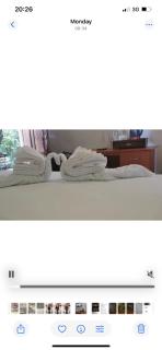 Sunshine Resort LTD - Sigiriya - 7