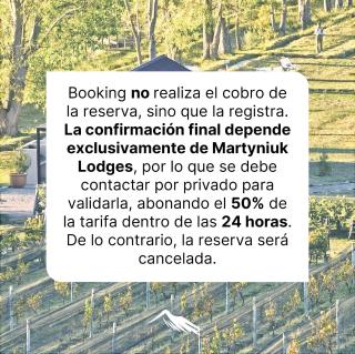 Martyniuk lodges entre viñedos - San Rafael - 8