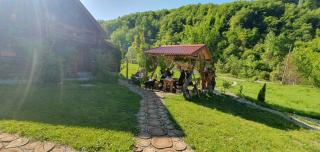 Plav Riverside Village - Plav - 6