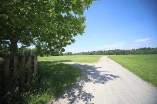 P-Hosting Kitten Manor - Bad Waldsee - 7