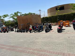 shark darem teem - El Alamein - 6