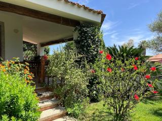 Geranio - - 7