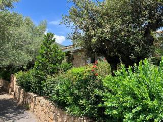 Geranio - - 5