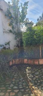 El corral de la Higuera - Campofrío - 9