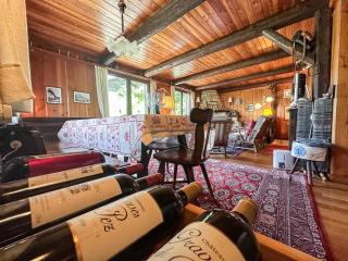 Chalet cosy, vue Alpes, cheminée & grande terrasse - Liddes - 1