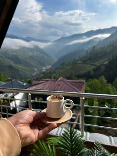 BARDİ Suit Bungalov - Çamlıhemşin - 3