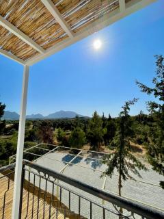 Çam Tatil Evleri - Datça - 3
