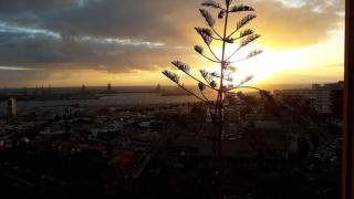 An apartment with an ocean view - Las Palmas de Gran Canaria - 2