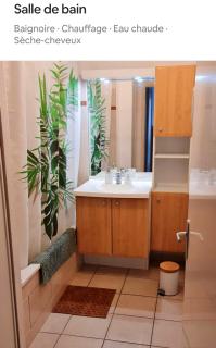 Appartement lumineux avec piscine à St Estève - Saint-Estève - 6