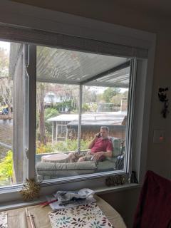 Tree House Treasure - Tarpon Springs - 9