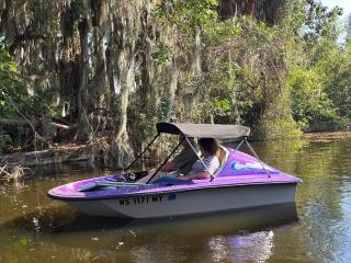 Tree House Treasure - Tarpon Springs - 6