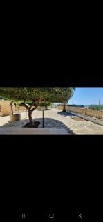 Casa Vacanze Errico - Pulsano - 1