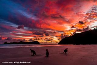 Heather's Mica Cottage - 6