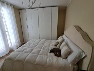 Queen apartment with double bed - Ravenna - 5