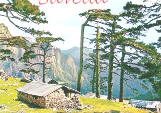 Très joli gîte 55m2 climatisé région Propriano - 6