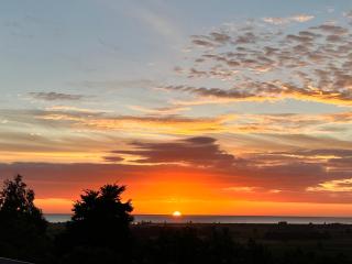 Treetops - Blenheim - 8