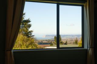 Treetops - Blenheim - 3