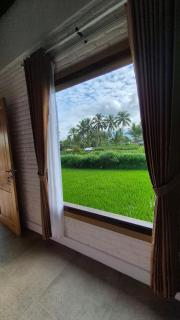 MyHome - Lombok - Tetebatu - 5