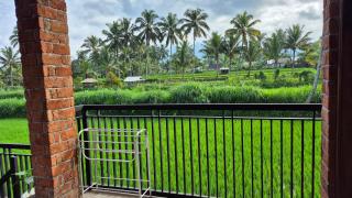MyHome - Lombok - Tetebatu - 4