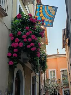 La casetta di Bianca - Sulmona - 3
