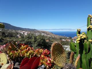 Casa Maracuya, La Palma - Botazo - 3