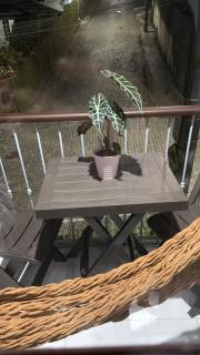 Apartamento no Quitandinha, Petrópolis - 8