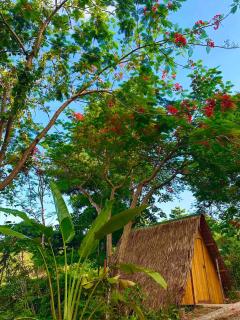 The Secret Hut - Cebu City - 6