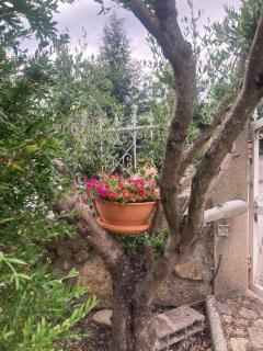 D'Ouro Meu House - 5