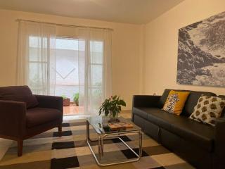Comfortable one bedroom apartment 10 minutes away from City Center - Città del Messico - 5