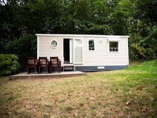 Lovely Chalet with Microwave in Ardennes - Olloy-sur-Viroin - 5