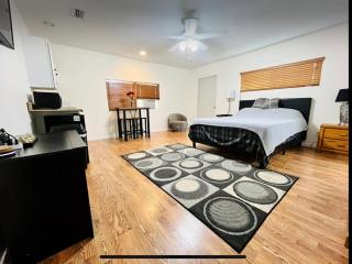 UPDATED Studio Apartment close Beaches and downtown - St. Petersburg - 2