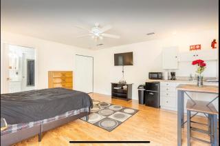 UPDATED Studio Apartment close Beaches and downtown - St. Petersburg - 5