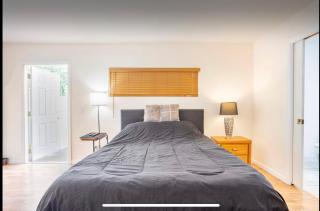 UPDATED Studio Apartment close Beaches and downtown - St. Petersburg - 6