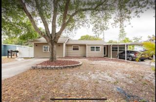 UPDATED Studio Apartment close Beaches and downtown - St. Petersburg - 0
