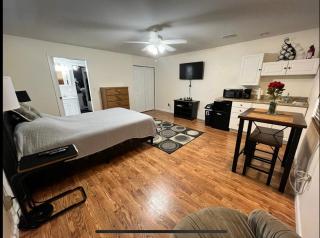 UPDATED Studio Apartment close Beaches and downtown - St. Petersburg - 1