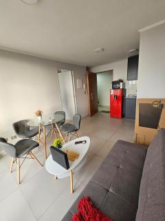 Central apartment in historic Barrio Yungay - Santiago - 4