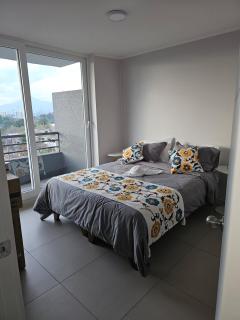Central apartment in historic Barrio Yungay - Santiago - 2
