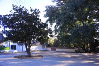 kairos guest lodge - Joanesburgo - 4