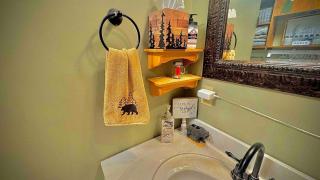 Sardis Lake Fast WI-FI Tiny Studio Cabin - - 9
