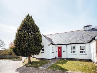 Oyster Catchers - Uk6730 - Lydstep - 0