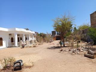 Cozy studio with a big garden - Dahab - 7